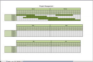 projektmanagement mit Excel-Vorlagen