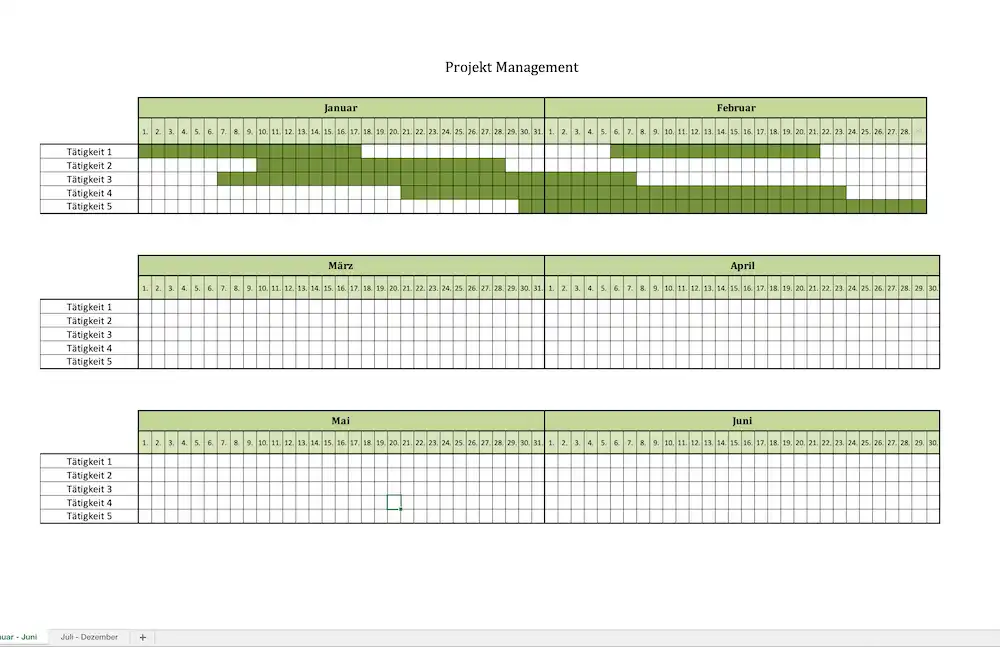 Projektmanagement Excel-Vorlage (Screenshot)
