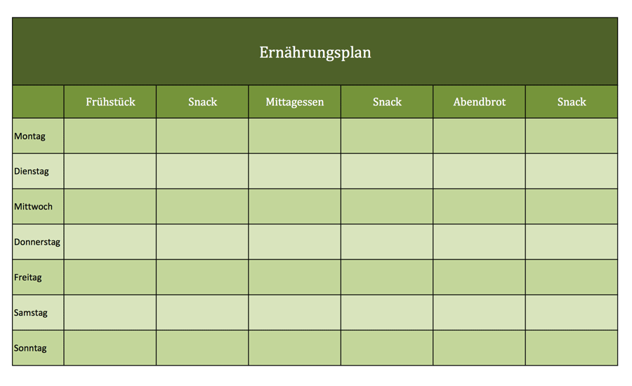 Ernährungsplan als Excel-Vorlage