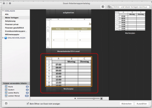 Meine Vorlage in Excel 2011