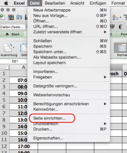 Seite einrichten für Excelvorlage erstellen