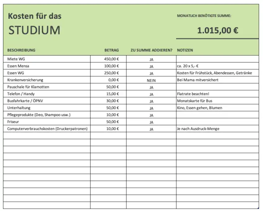 Excelvorlage für die Berechnung der Kosten im Studium (Screenshot zur Vorlage)
