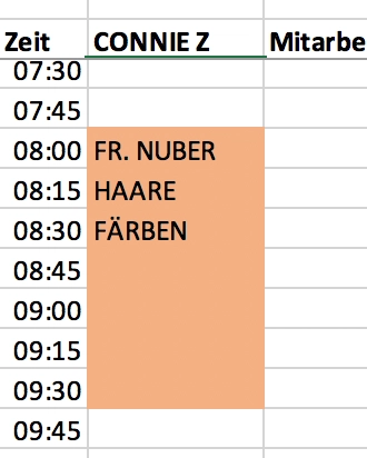 Beispiel für einen Eintrag im Terminplaner