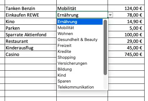 Dropdown-Menü zur Zuordnung der Ausgaben im Haushaltsbuch PRO